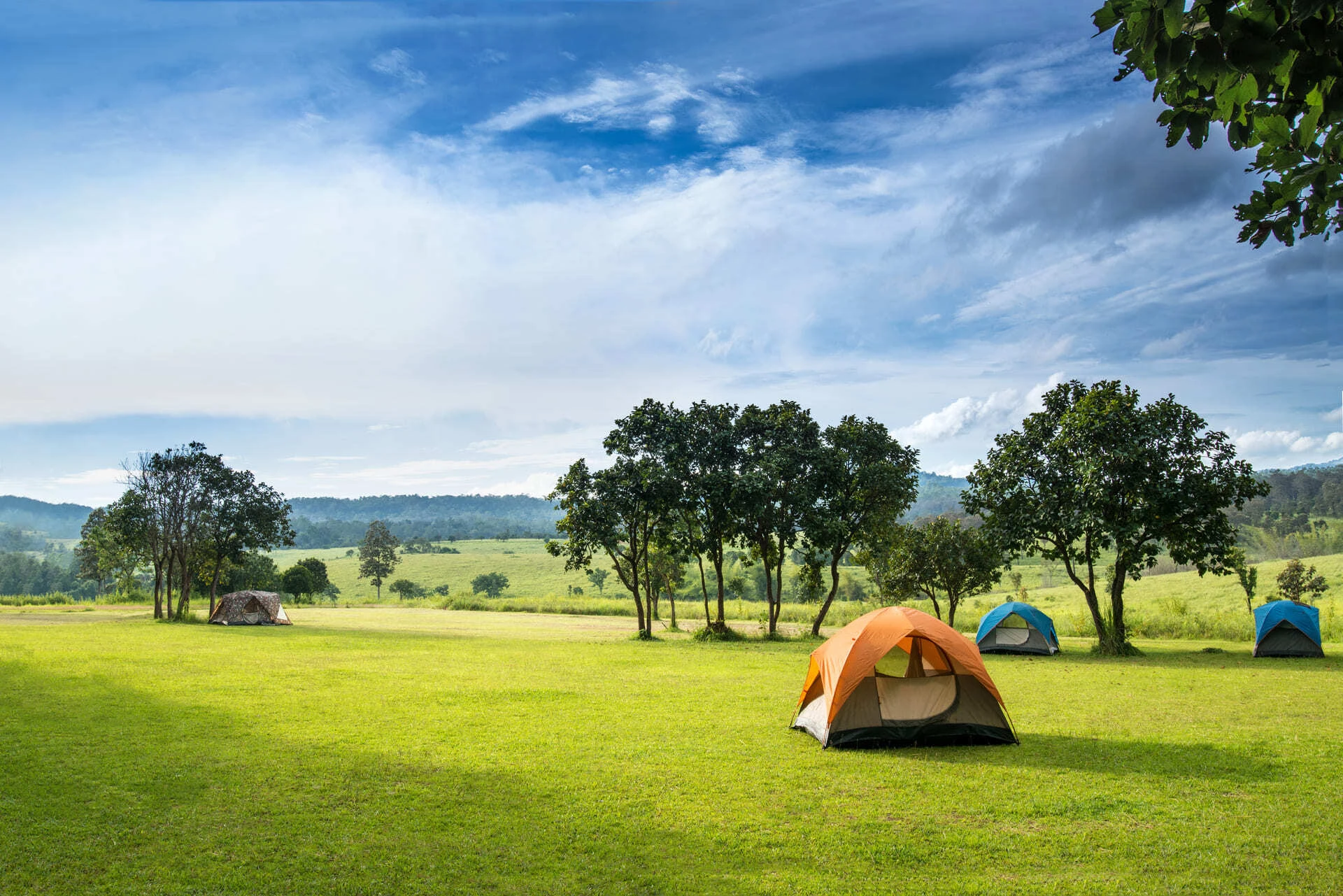 AdobeStock_203351544